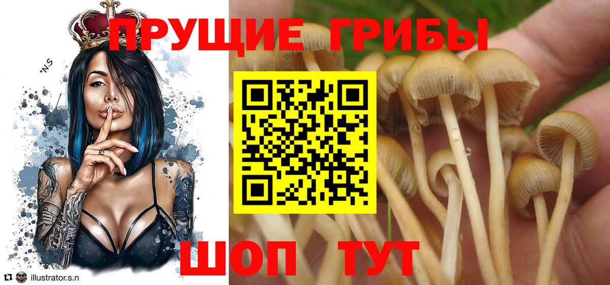Галлюциногенные грибы Magic Shrooms  Вход с VPN  Дербент 